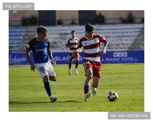 数据预测:奥萨苏纳对阵格拉纳达,保级生死战主队胜率超六成 数据预测:奥萨苏纳对阵格拉纳达,保级生死战主队胜率超六成